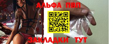 стаф Донской