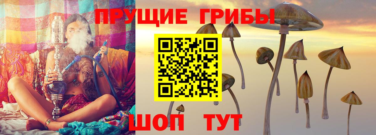 Псилоцибиновые грибы мицелий  Галлюциногенные грибы прущие грибы  Карасук 