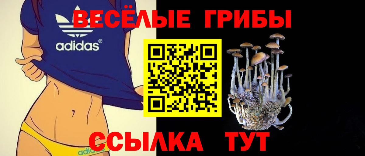 Галлюциногенные грибы Cubensis  Псилоцибиновые грибы Psilocybe  Вход с VPN  Карасук 